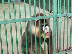 -秦皇岛野生动物园
