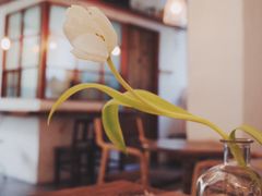 -MAISON门前杂货店