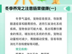-瑞派申生动物医院·24H夜诊·国际动物医疗中心·骨外科(吴中路店)