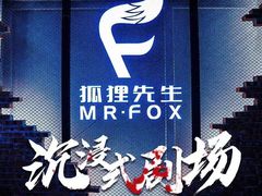 -Mr.Fox狐狸先生超级密室(南山店)