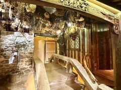 -叶叶菩提(太原别墅店)