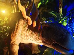 -恐龙探索乐园(磁器口店)