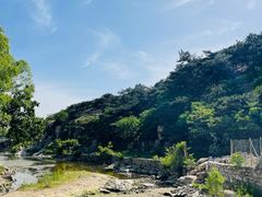 -泰山风景名胜区