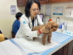-美联众合动物医院·24h转诊中心