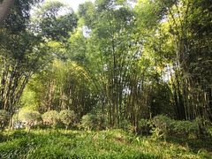 -邓小平故里