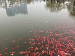 -西海子公园