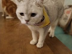 -万达广场(东莞厚街店)