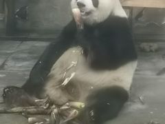 -无锡动物园·太湖欢乐园