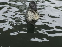 -北戴河圣蓝海洋公园