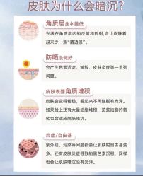 -LUNA皮相美·骨相美高级美感