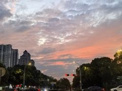 -Dark Horse·黑马蛋糕·低脂·低糖淡奶(金匙望湖大厦店)