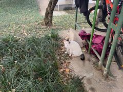-浙江大学(玉泉校区)