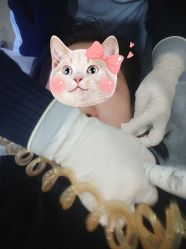 -北京炫美医疗美容