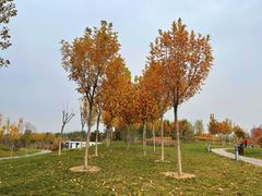 -瀛海足球主题公园