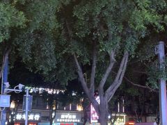 -熊记虾王·小龙虾(东晓南店)