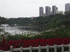 -重庆彩云湖湿地公园