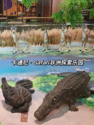 -卡通尼·Safari非洲探索乐园·生日会(金桥国际商业广场店)