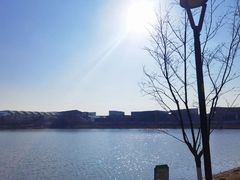 -羊山湖公园