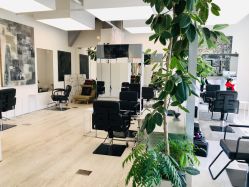 -Hair  Gallery