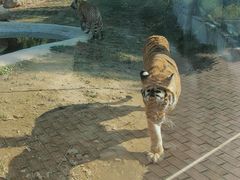 -泉州海丝野生动物世界