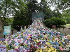 -上海共青森林公园