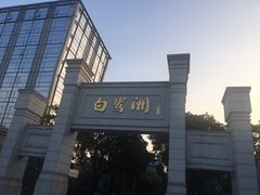 -白鹭洲公园