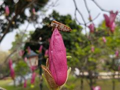 -烈士陵园(地铁站)