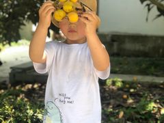 -西山樟坞健康果园枇杷杨梅采摘