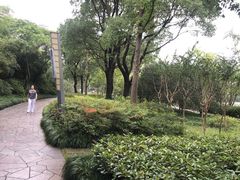 -新江湾城公园