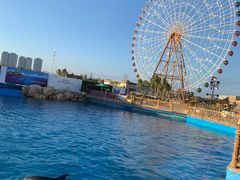 -三亚海昌梦幻海洋不夜城