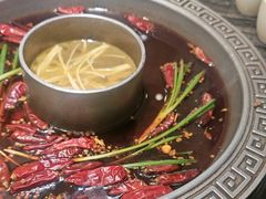 -杨肥肠火锅大排档(火车站花园店)