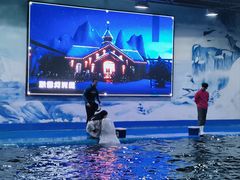 -石林冰雪海洋世界