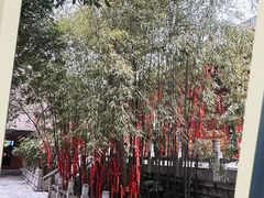-兴教寺
