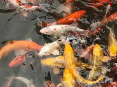 -南京东郊国宾馆
