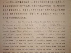-黄海国家森林公园