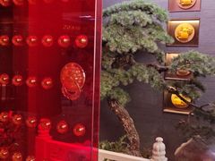 -四世同堂·京菜·烤鸭(双井店)