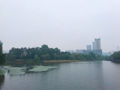 -张之洞与武汉博物馆