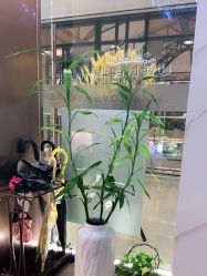 -爱睫物语·疗愈美睫美甲