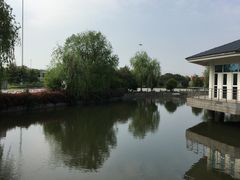 -平望服务区·停车场