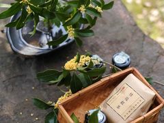 -苏州市吴中区光福窑上花果蜜饯厂