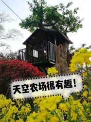 -可可天空农场(中大店)