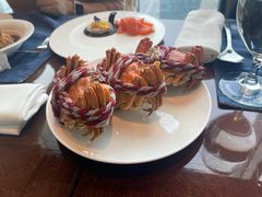 -Social 秀西餐厅-长沙瑞吉酒店(运达店)
