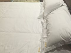 -东京湾大酒店(中心大道店)