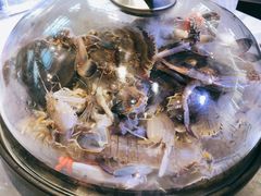 -半岛听涛蒸汽海鲜自助(K11店)