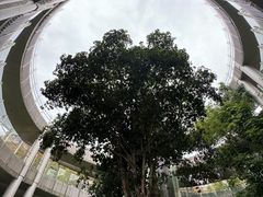 -福道