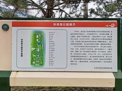 -玲珑塔公园