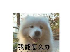 -五合院·整点烤肉