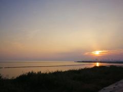 -合肥滨湖国家森林公园