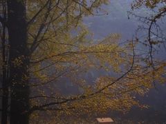 -重庆锦火锅(惠福东路店)