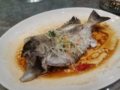 -聚福宝合苑食府(南头镇店)